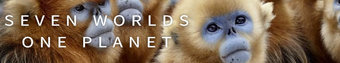دانلود سریال Seven Worlds, One Planet