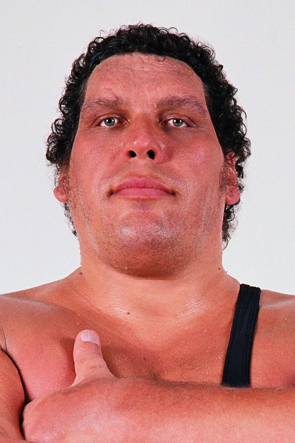 André the Giant