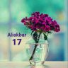 Aliakbar17